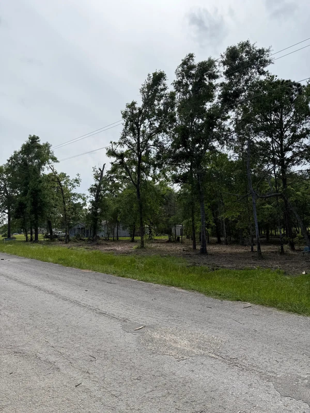EA 55 Land Development project photo 3