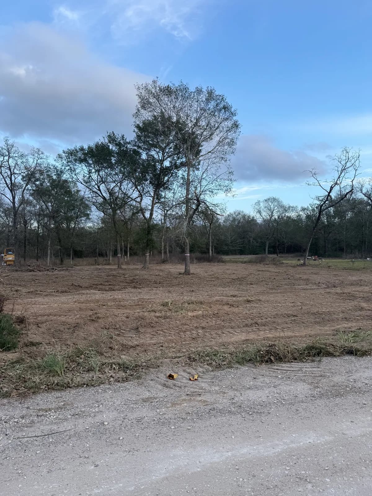 EA 55 Land Development project photo 10